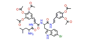 Pentacetylcelenamide C